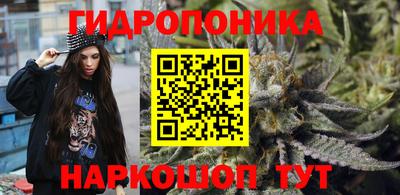 МДПВ Кингисепп