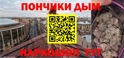 МДПВ Кингисепп
